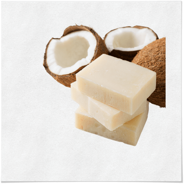 صابون جوز الهند صابون زيت جوز الهند العضوي